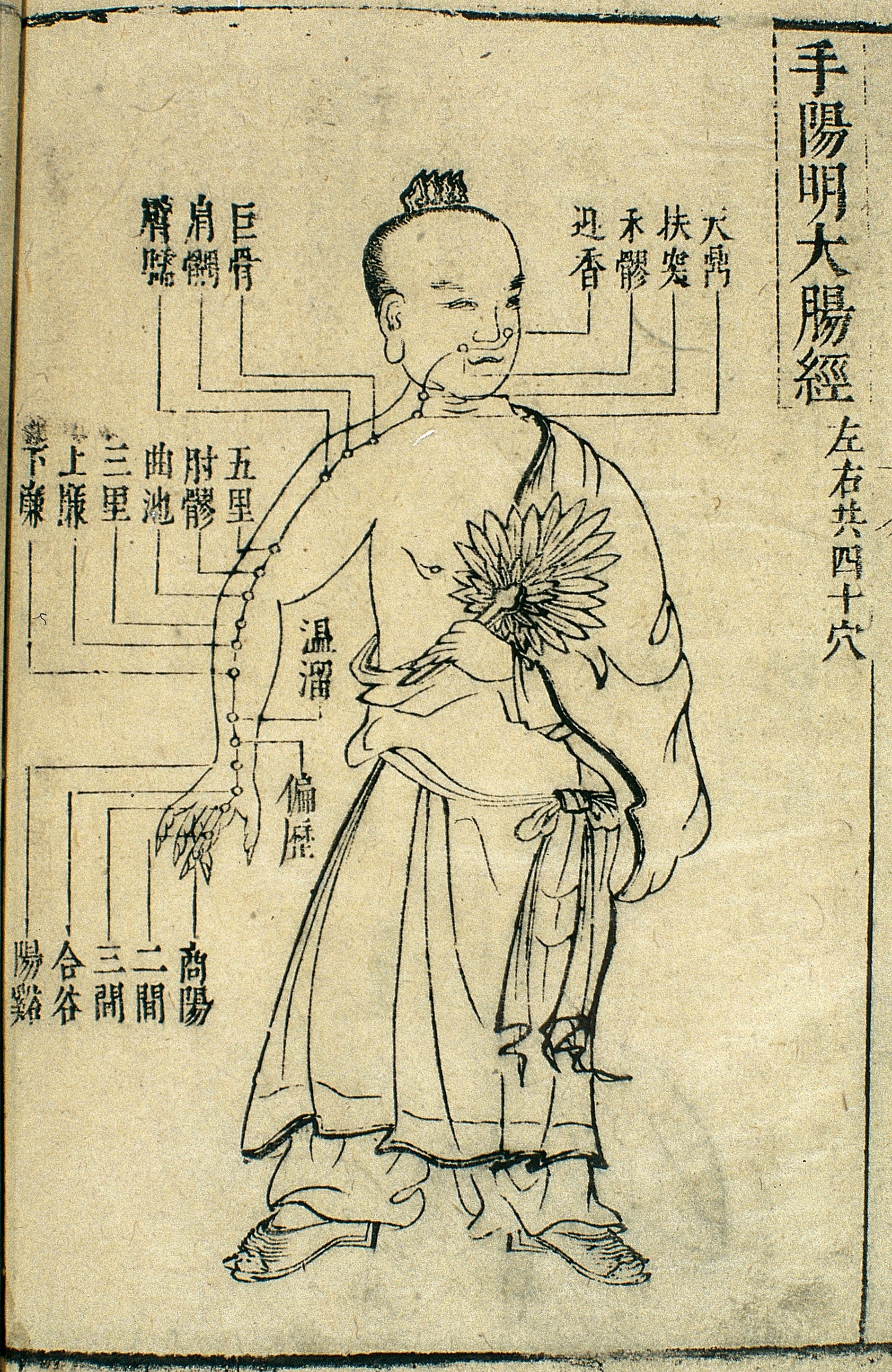 Planche ancienne d'acupuncture.